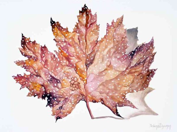 Autumn Leaf II — acrylic on canvas by Yelena Revis