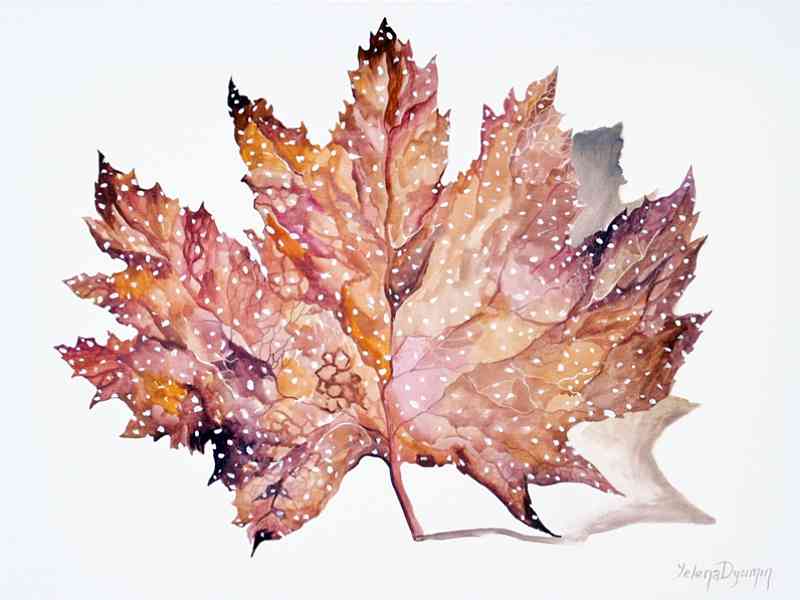 Autumn Leaf II — acrylic on canvas by Yelena Revis