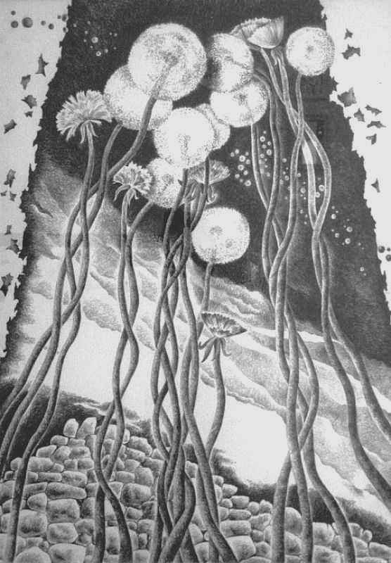 Irradiation — pencil on paper by Yelena Revis