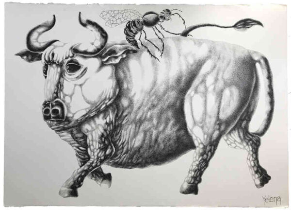 Toro — pen on rough paper by Yelena Revis